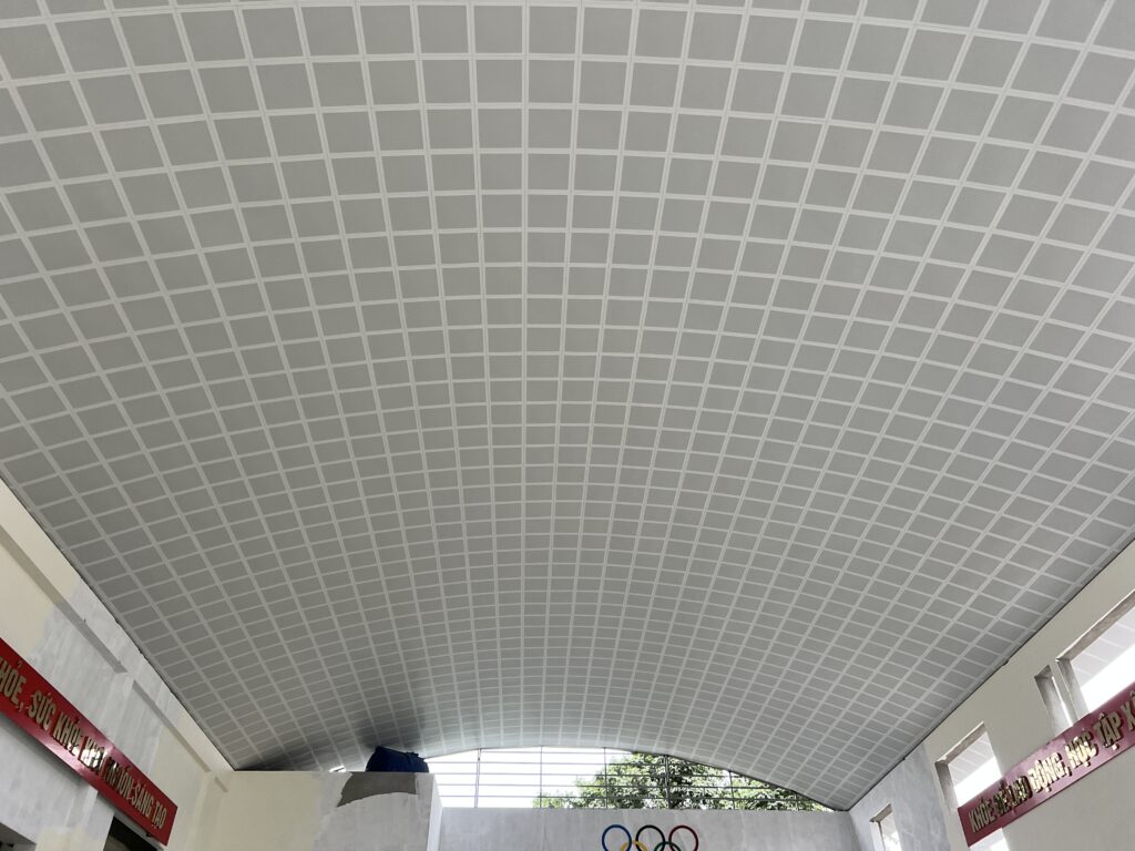 tran nhom clip in Viet a 6