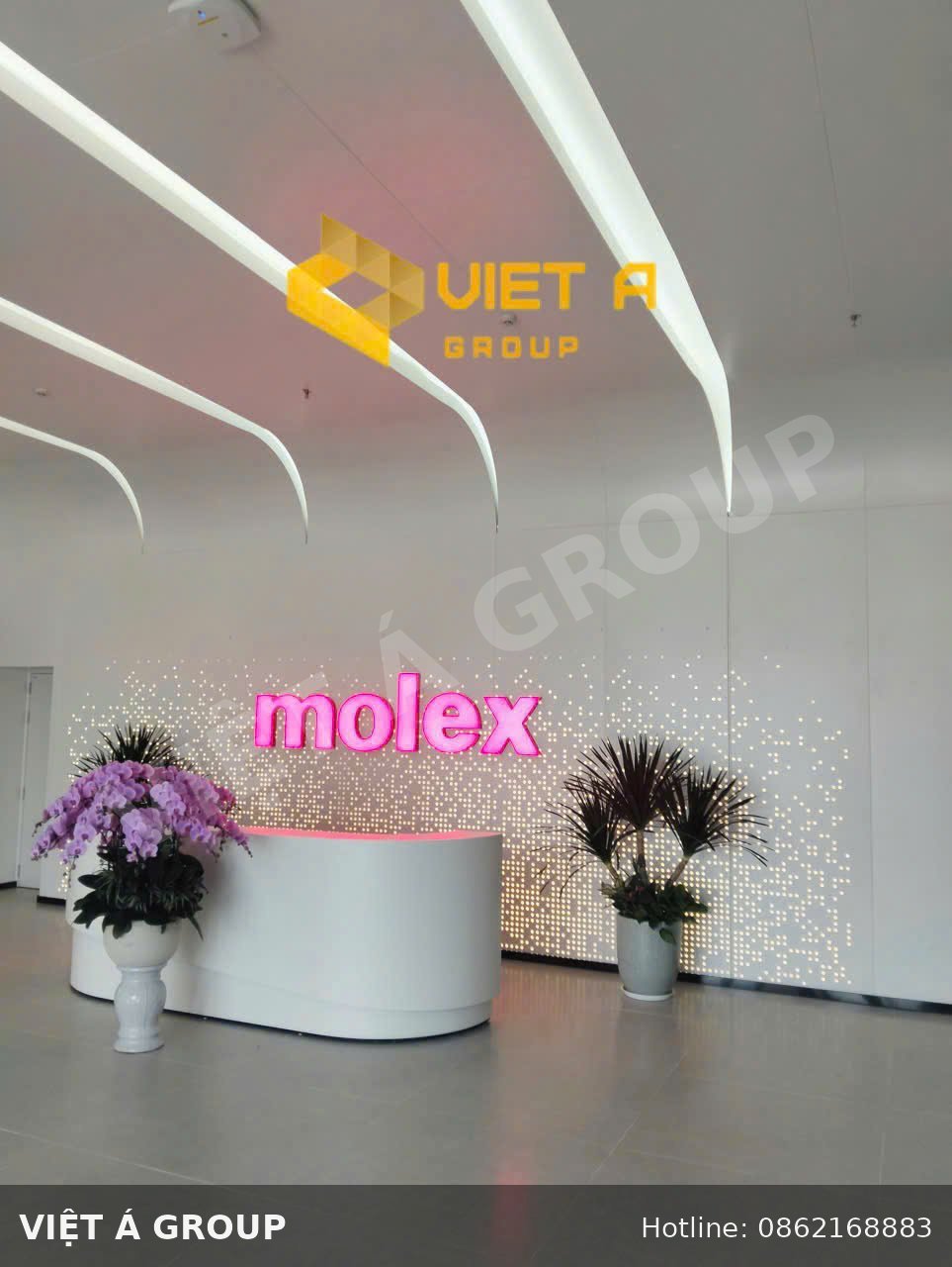 Trần nhôm uốn cong tích hợp đèn LED phối hợp cùng tấm ốp CNC xuyên sáng tại Molex
